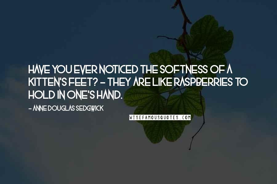 Anne Douglas Sedgwick Quotes: Have you ever noticed the softness of a kitten's feet? - they are like raspberries to hold in one's hand.