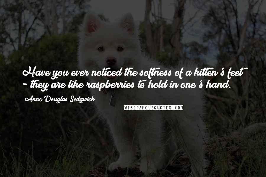 Anne Douglas Sedgwick Quotes: Have you ever noticed the softness of a kitten's feet? - they are like raspberries to hold in one's hand.