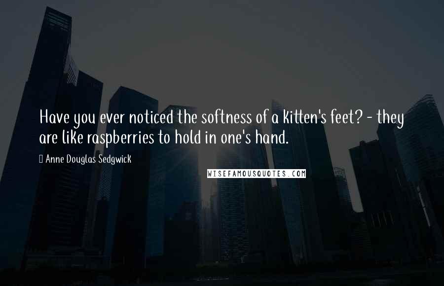 Anne Douglas Sedgwick Quotes: Have you ever noticed the softness of a kitten's feet? - they are like raspberries to hold in one's hand.