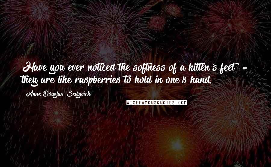Anne Douglas Sedgwick Quotes: Have you ever noticed the softness of a kitten's feet? - they are like raspberries to hold in one's hand.