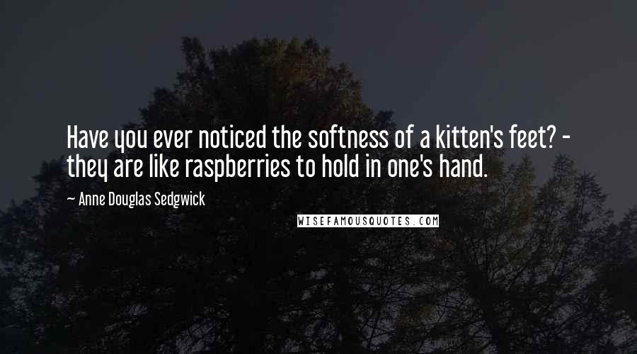Anne Douglas Sedgwick Quotes: Have you ever noticed the softness of a kitten's feet? - they are like raspberries to hold in one's hand.