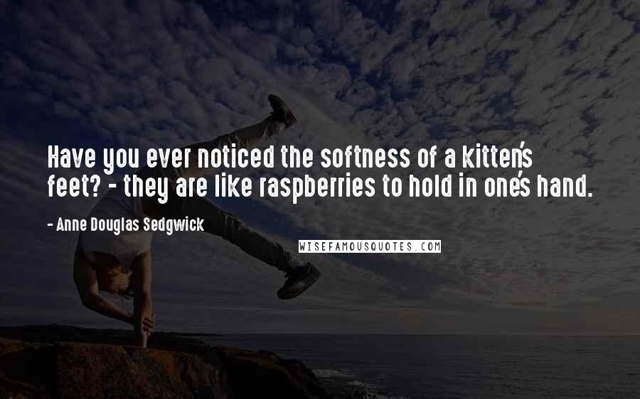 Anne Douglas Sedgwick Quotes: Have you ever noticed the softness of a kitten's feet? - they are like raspberries to hold in one's hand.