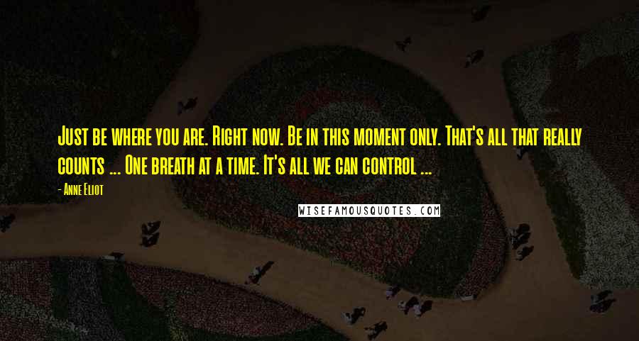 Anne Eliot Quotes: Just be where you are. Right now. Be in this moment only. That's all that really counts ... One breath at a time. It's all we can control ...