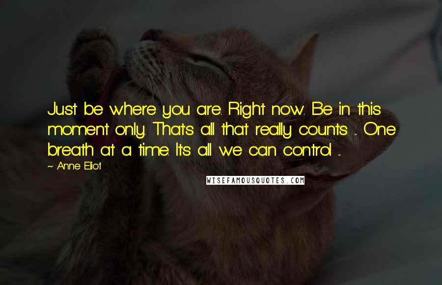 Anne Eliot Quotes: Just be where you are. Right now. Be in this moment only. That's all that really counts ... One breath at a time. It's all we can control ...