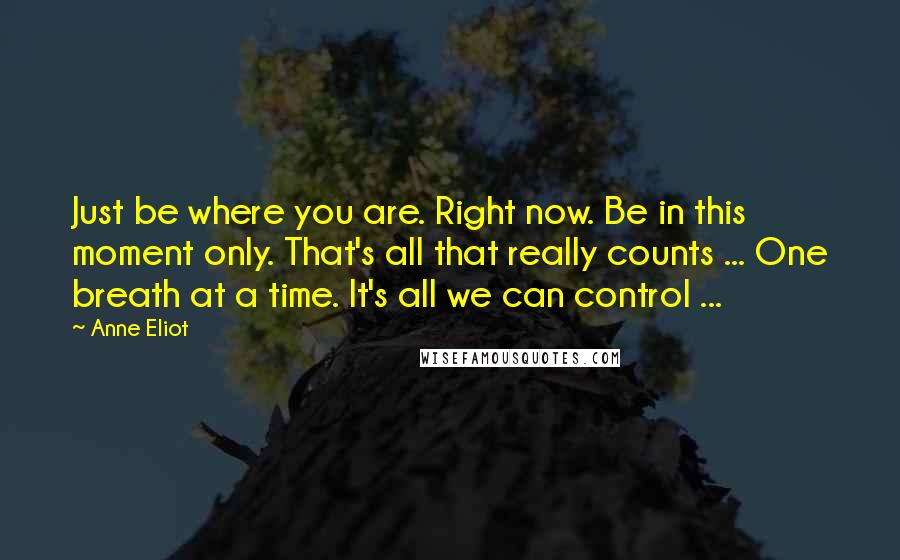 Anne Eliot Quotes: Just be where you are. Right now. Be in this moment only. That's all that really counts ... One breath at a time. It's all we can control ...