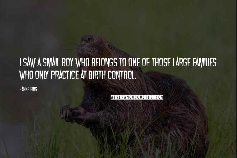 Anne Ellis Quotes: I saw a small boy who belongs to one of those large families who only practice at birth control.