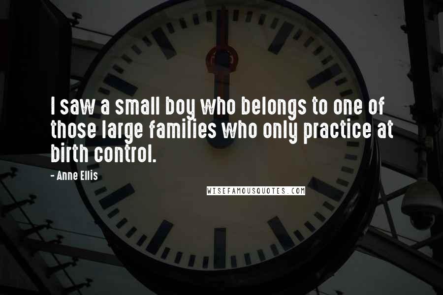 Anne Ellis Quotes: I saw a small boy who belongs to one of those large families who only practice at birth control.