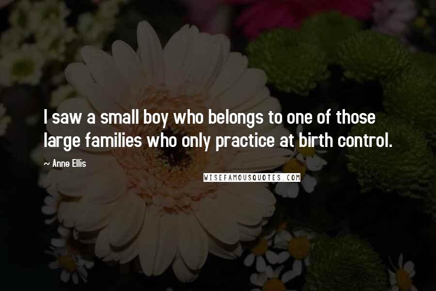 Anne Ellis Quotes: I saw a small boy who belongs to one of those large families who only practice at birth control.