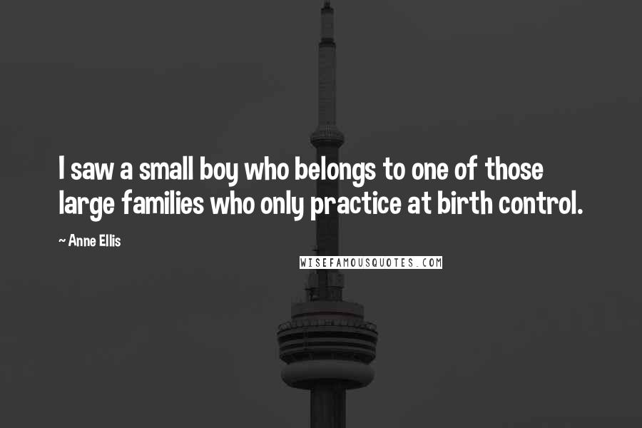 Anne Ellis Quotes: I saw a small boy who belongs to one of those large families who only practice at birth control.