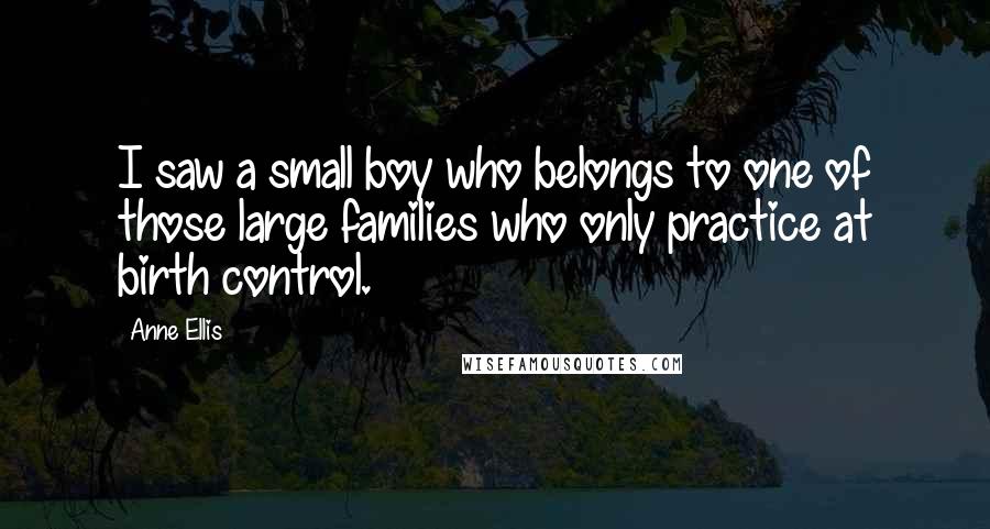 Anne Ellis Quotes: I saw a small boy who belongs to one of those large families who only practice at birth control.