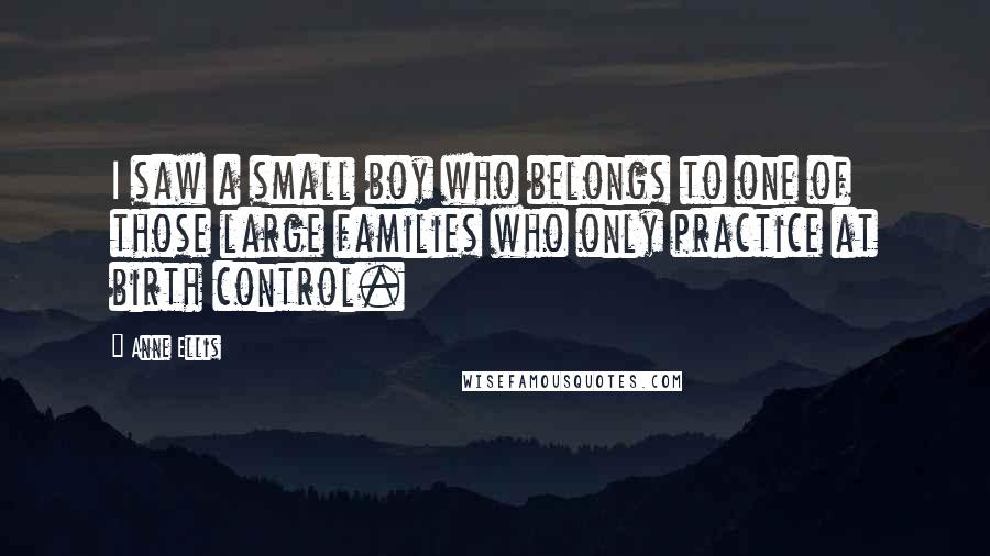 Anne Ellis Quotes: I saw a small boy who belongs to one of those large families who only practice at birth control.