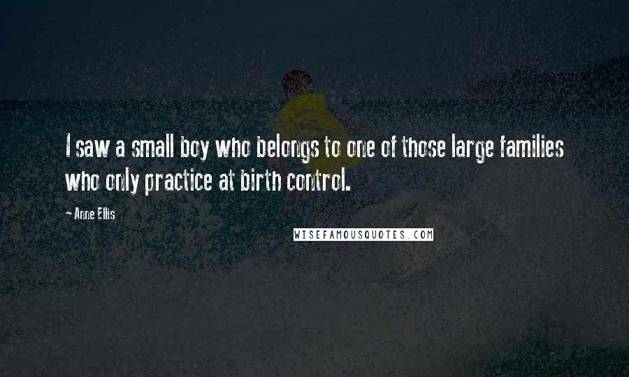 Anne Ellis Quotes: I saw a small boy who belongs to one of those large families who only practice at birth control.