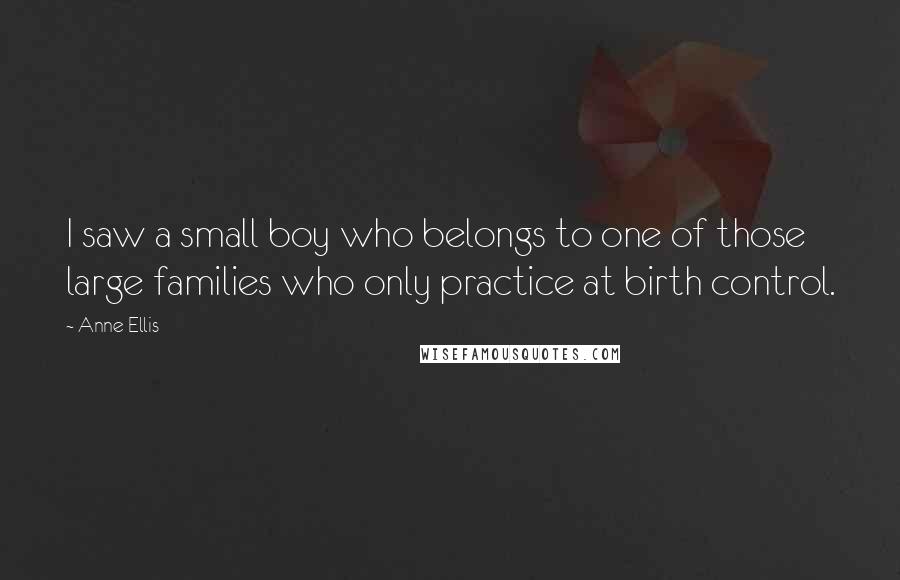 Anne Ellis Quotes: I saw a small boy who belongs to one of those large families who only practice at birth control.