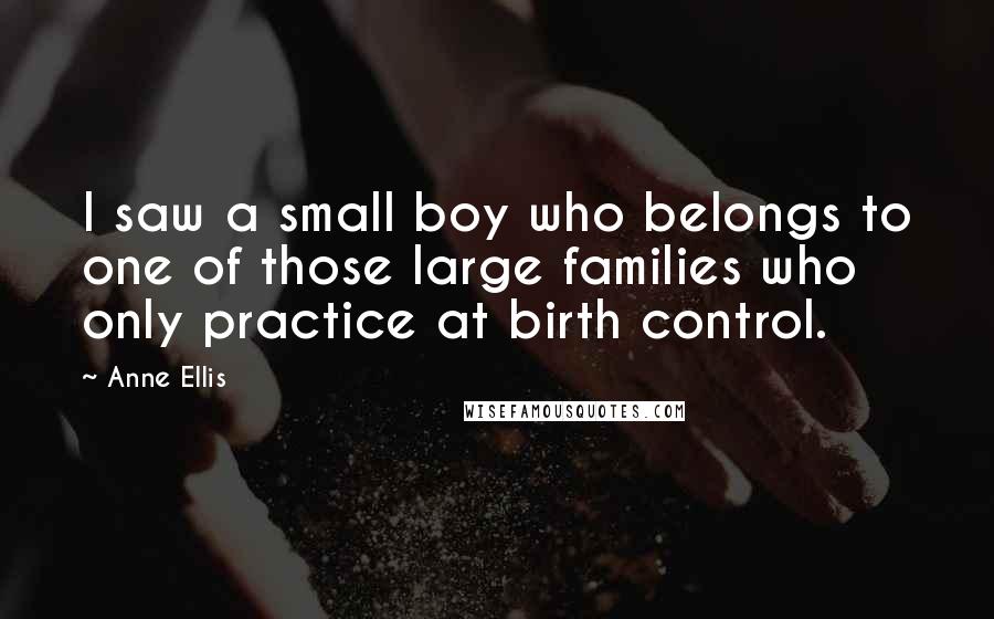 Anne Ellis Quotes: I saw a small boy who belongs to one of those large families who only practice at birth control.