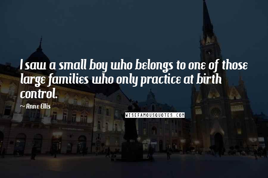 Anne Ellis Quotes: I saw a small boy who belongs to one of those large families who only practice at birth control.