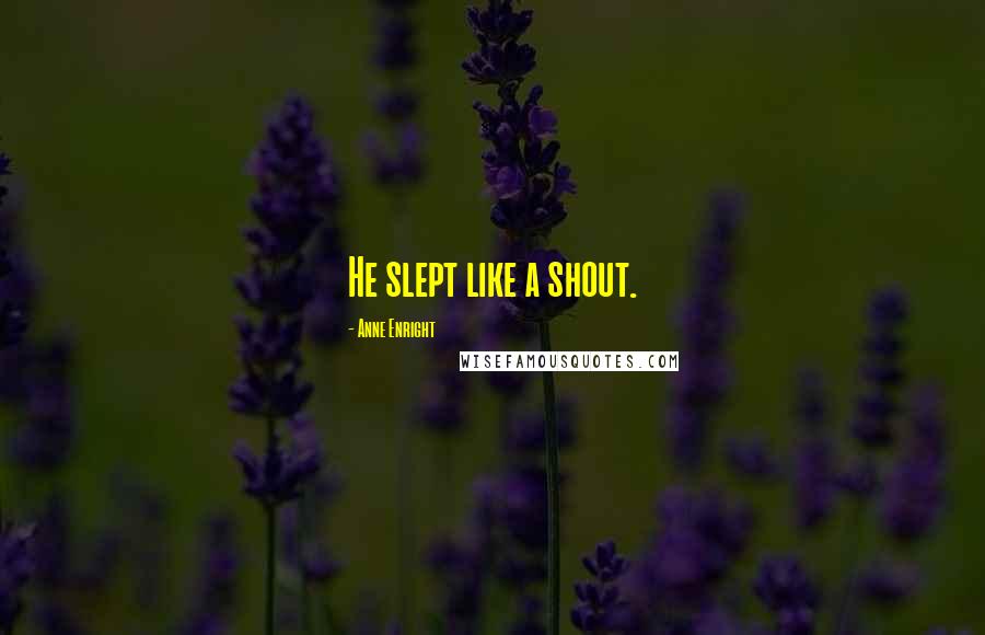 Anne Enright Quotes: He slept like a shout.