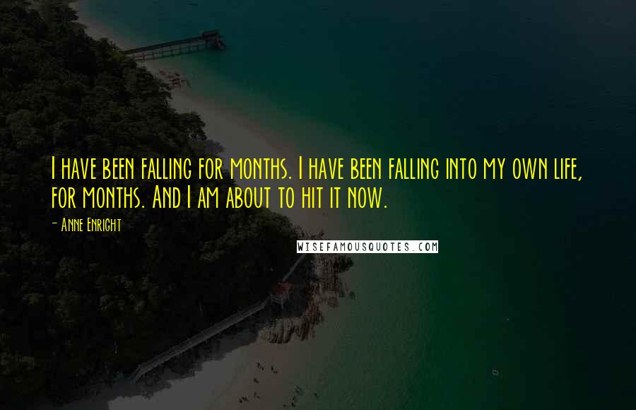 Anne Enright Quotes: I have been falling for months. I have been falling into my own life, for months. And I am about to hit it now.