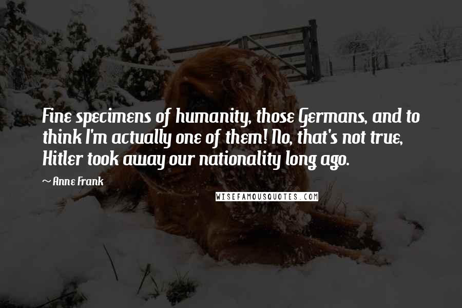 Anne Frank Quotes: Fine specimens of humanity, those Germans, and to think I'm actually one of them! No, that's not true, Hitler took away our nationality long ago.