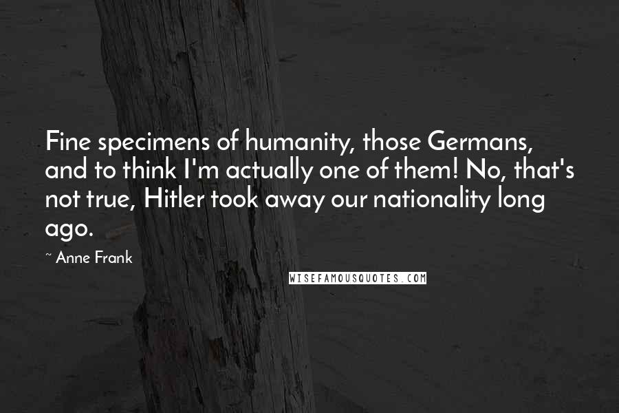 Anne Frank Quotes: Fine specimens of humanity, those Germans, and to think I'm actually one of them! No, that's not true, Hitler took away our nationality long ago.