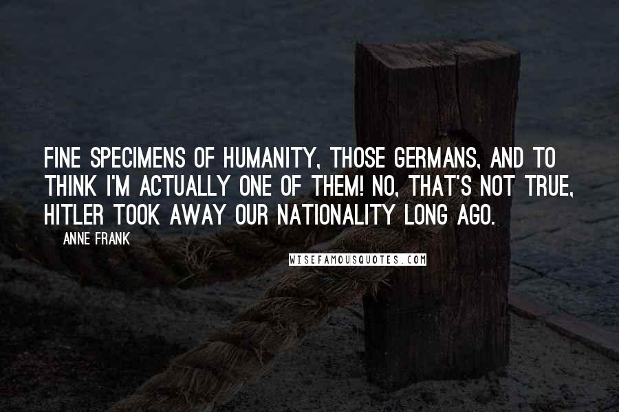 Anne Frank Quotes: Fine specimens of humanity, those Germans, and to think I'm actually one of them! No, that's not true, Hitler took away our nationality long ago.