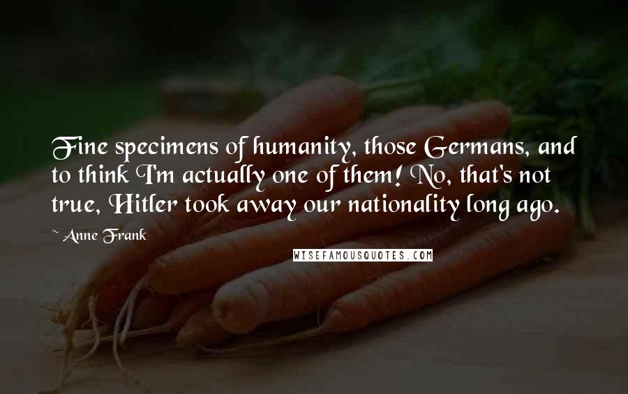 Anne Frank Quotes: Fine specimens of humanity, those Germans, and to think I'm actually one of them! No, that's not true, Hitler took away our nationality long ago.