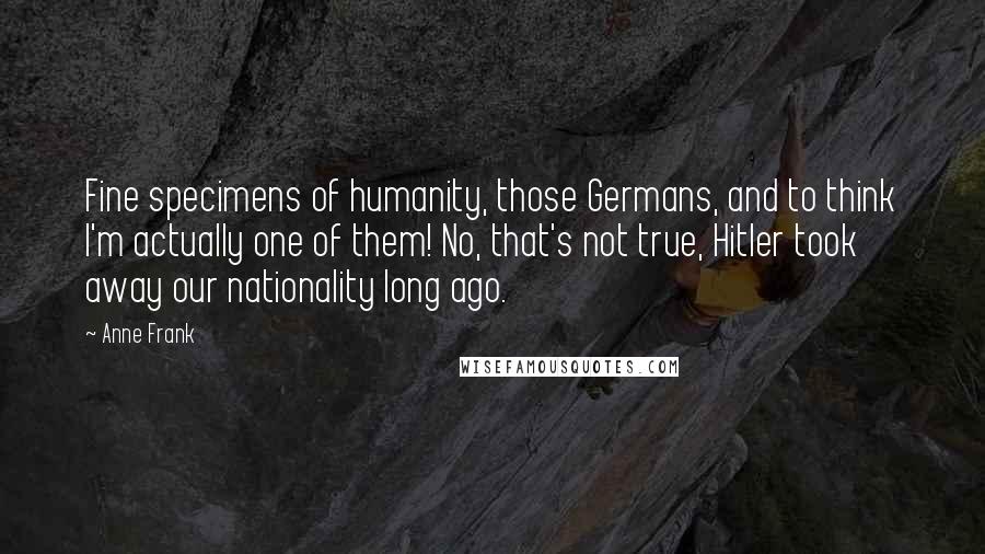 Anne Frank Quotes: Fine specimens of humanity, those Germans, and to think I'm actually one of them! No, that's not true, Hitler took away our nationality long ago.