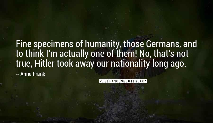 Anne Frank Quotes: Fine specimens of humanity, those Germans, and to think I'm actually one of them! No, that's not true, Hitler took away our nationality long ago.