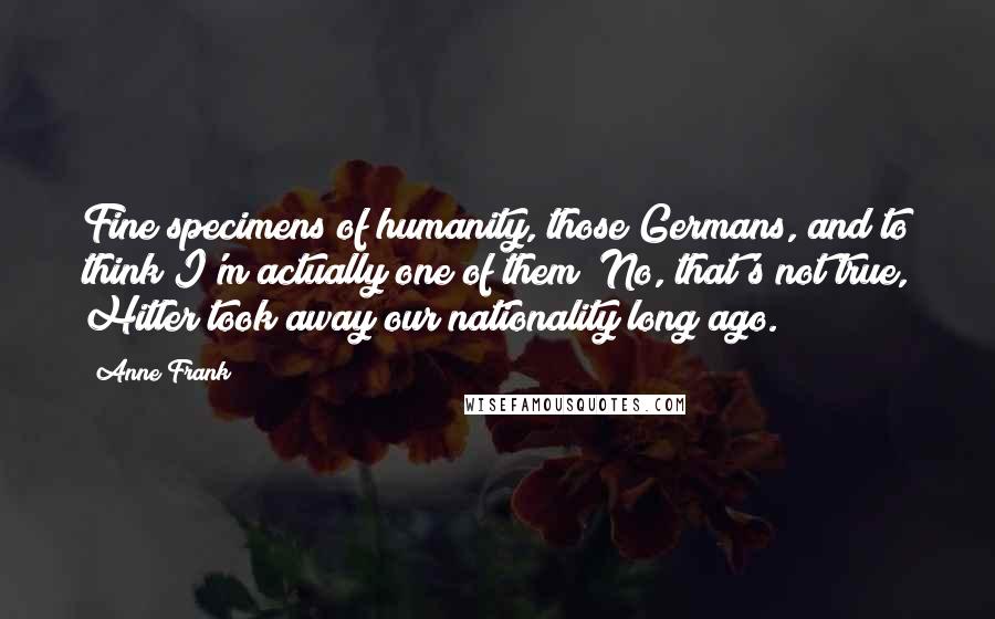 Anne Frank Quotes: Fine specimens of humanity, those Germans, and to think I'm actually one of them! No, that's not true, Hitler took away our nationality long ago.