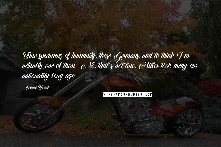 Anne Frank Quotes: Fine specimens of humanity, those Germans, and to think I'm actually one of them! No, that's not true, Hitler took away our nationality long ago.