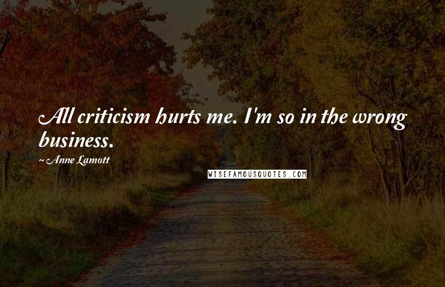 Anne Lamott Quotes: All criticism hurts me. I'm so in the wrong business.