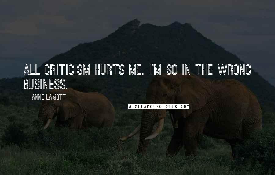 Anne Lamott Quotes: All criticism hurts me. I'm so in the wrong business.