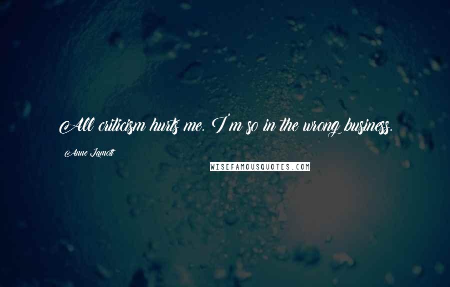 Anne Lamott Quotes: All criticism hurts me. I'm so in the wrong business.