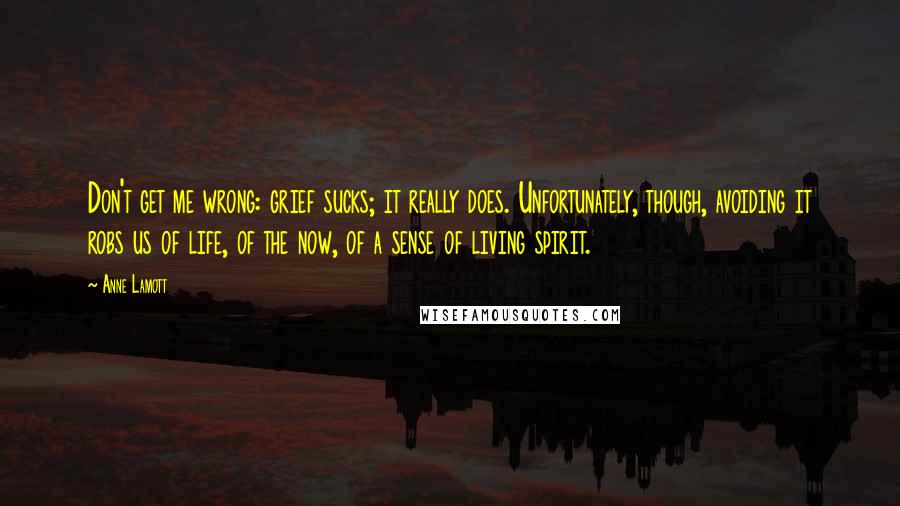 Anne Lamott Quotes: Don't get me wrong: grief sucks; it really does. Unfortunately, though, avoiding it robs us of life, of the now, of a sense of living spirit.