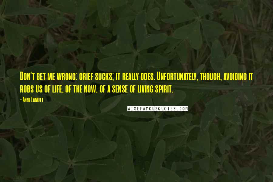 Anne Lamott Quotes: Don't get me wrong: grief sucks; it really does. Unfortunately, though, avoiding it robs us of life, of the now, of a sense of living spirit.