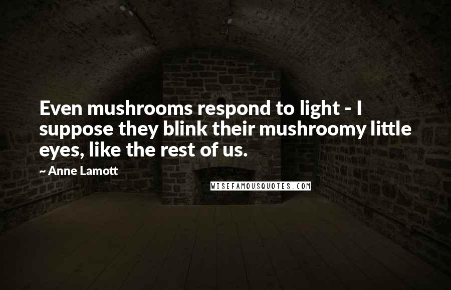 Anne Lamott Quotes: Even mushrooms respond to light - I suppose they blink their mushroomy little eyes, like the rest of us.