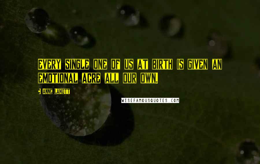 Anne Lamott Quotes: Every single one of us at birth is given an emotional acre all our own.
