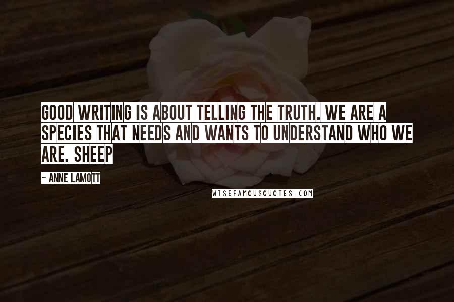 Anne Lamott Quotes: good writing is about telling the truth. We are a species that needs and wants to understand who we are. Sheep