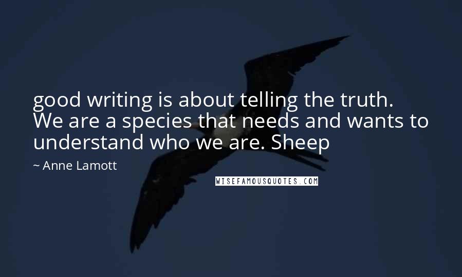 Anne Lamott Quotes: good writing is about telling the truth. We are a species that needs and wants to understand who we are. Sheep