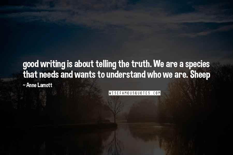 Anne Lamott Quotes: good writing is about telling the truth. We are a species that needs and wants to understand who we are. Sheep