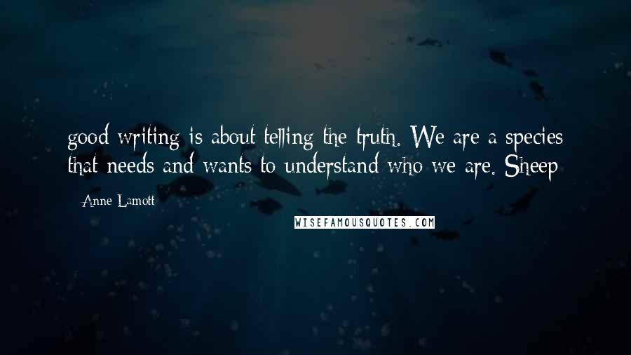 Anne Lamott Quotes: good writing is about telling the truth. We are a species that needs and wants to understand who we are. Sheep