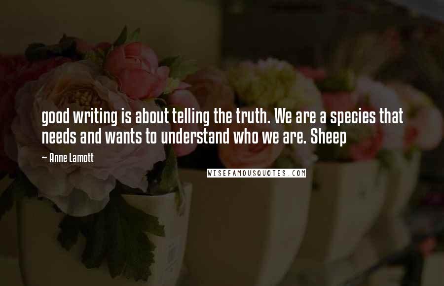 Anne Lamott Quotes: good writing is about telling the truth. We are a species that needs and wants to understand who we are. Sheep