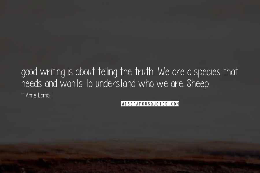 Anne Lamott Quotes: good writing is about telling the truth. We are a species that needs and wants to understand who we are. Sheep