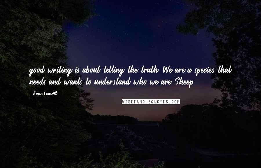 Anne Lamott Quotes: good writing is about telling the truth. We are a species that needs and wants to understand who we are. Sheep