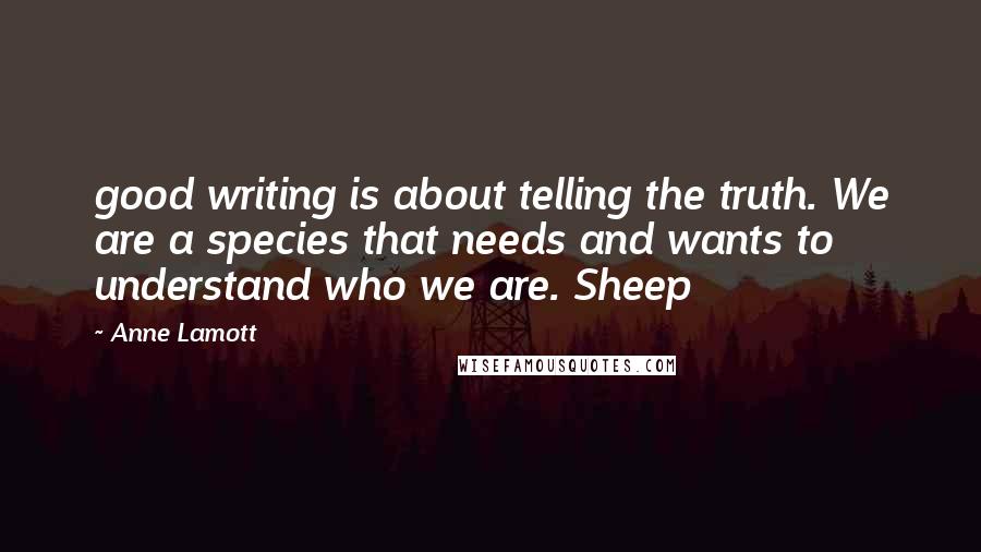 Anne Lamott Quotes: good writing is about telling the truth. We are a species that needs and wants to understand who we are. Sheep