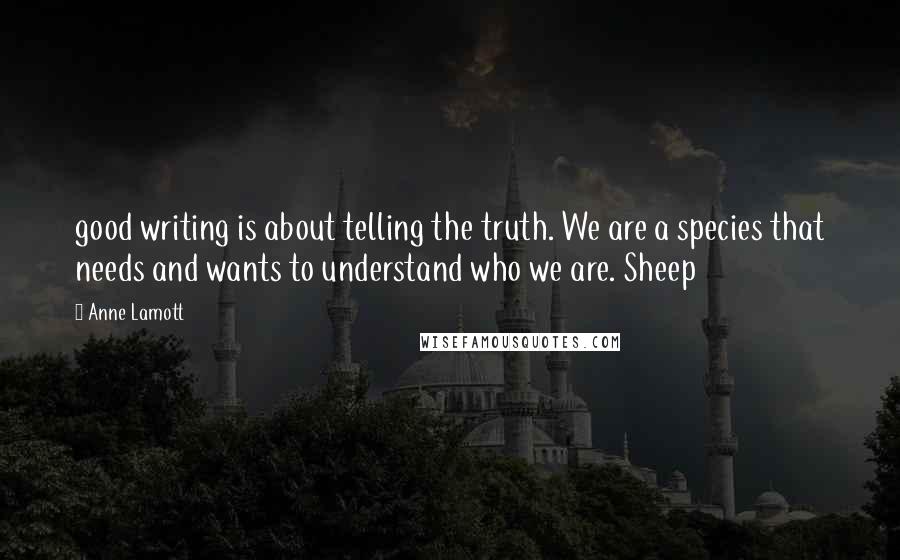 Anne Lamott Quotes: good writing is about telling the truth. We are a species that needs and wants to understand who we are. Sheep