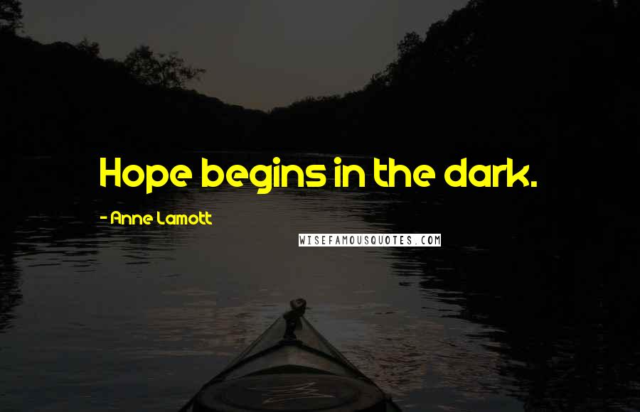 Anne Lamott Quotes: Hope begins in the dark.