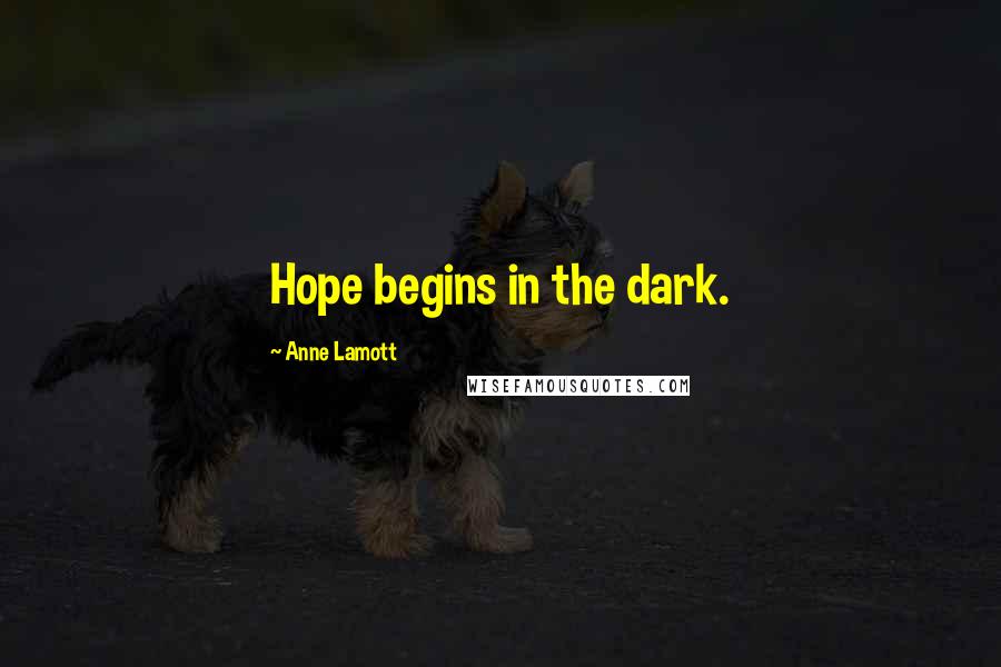 Anne Lamott Quotes: Hope begins in the dark.