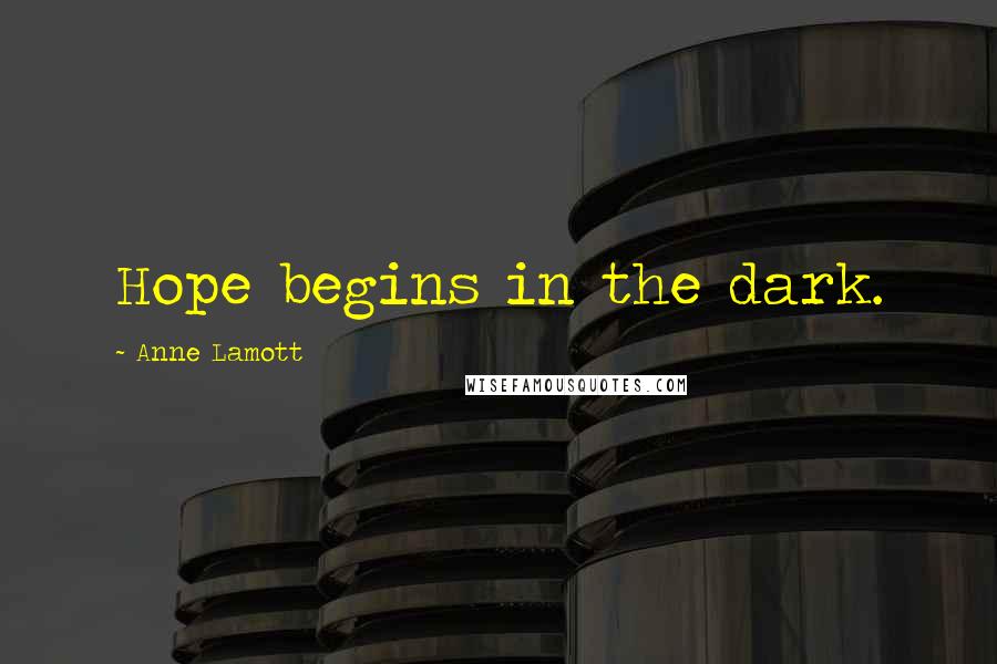 Anne Lamott Quotes: Hope begins in the dark.