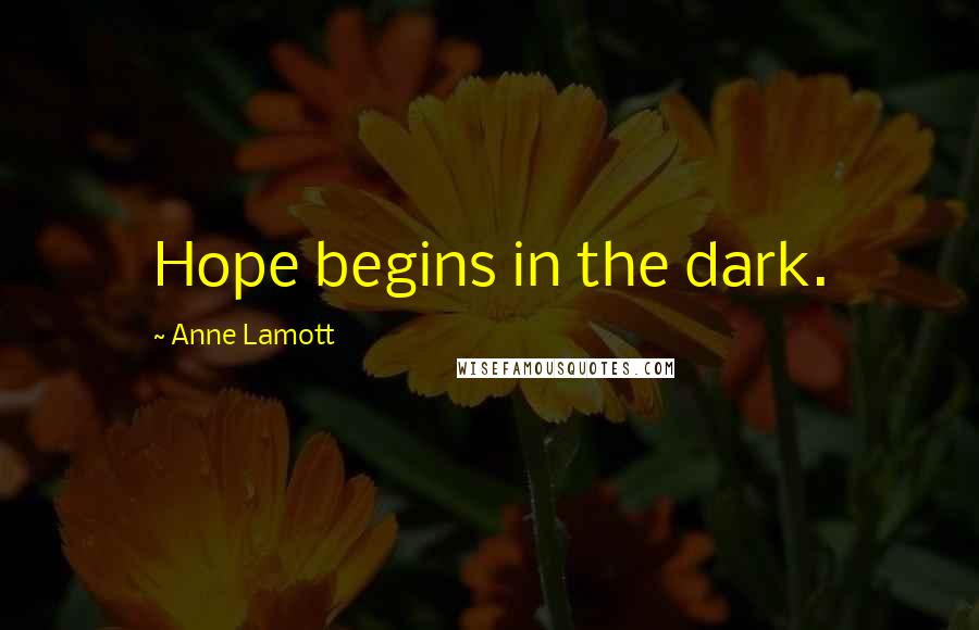 Anne Lamott Quotes: Hope begins in the dark.