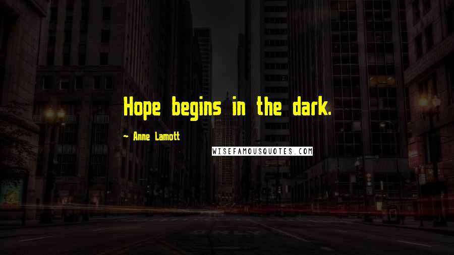 Anne Lamott Quotes: Hope begins in the dark.